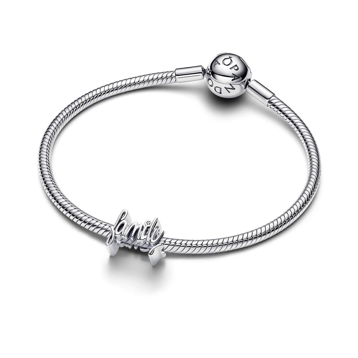 Pandora Moments 925 Sterling Silver Handwritten Family Charm 794250C01