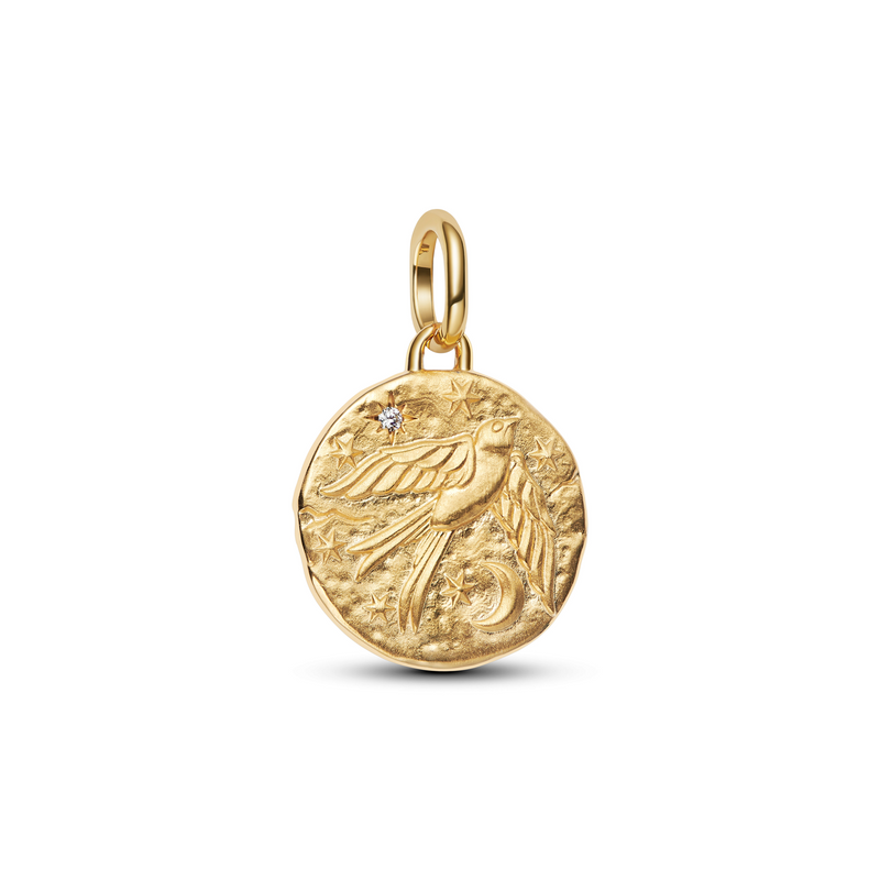 Pandora ME Gold Plated Swallow Coin Charm 764082C01-zoom-