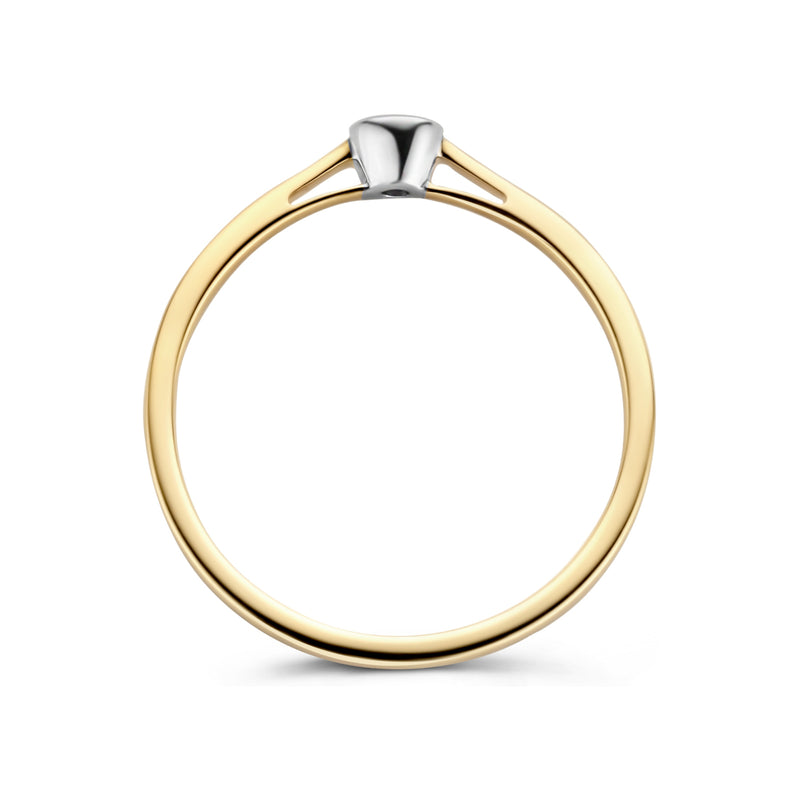 Blush Diamonds 14k Gouden Ring Met Diamant 1653BDI/56-zoom-