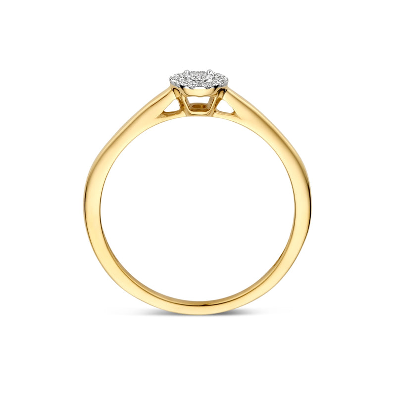 Blush Natural Diamonds 14 karat gold Ring 1678BDI/54-zoom-