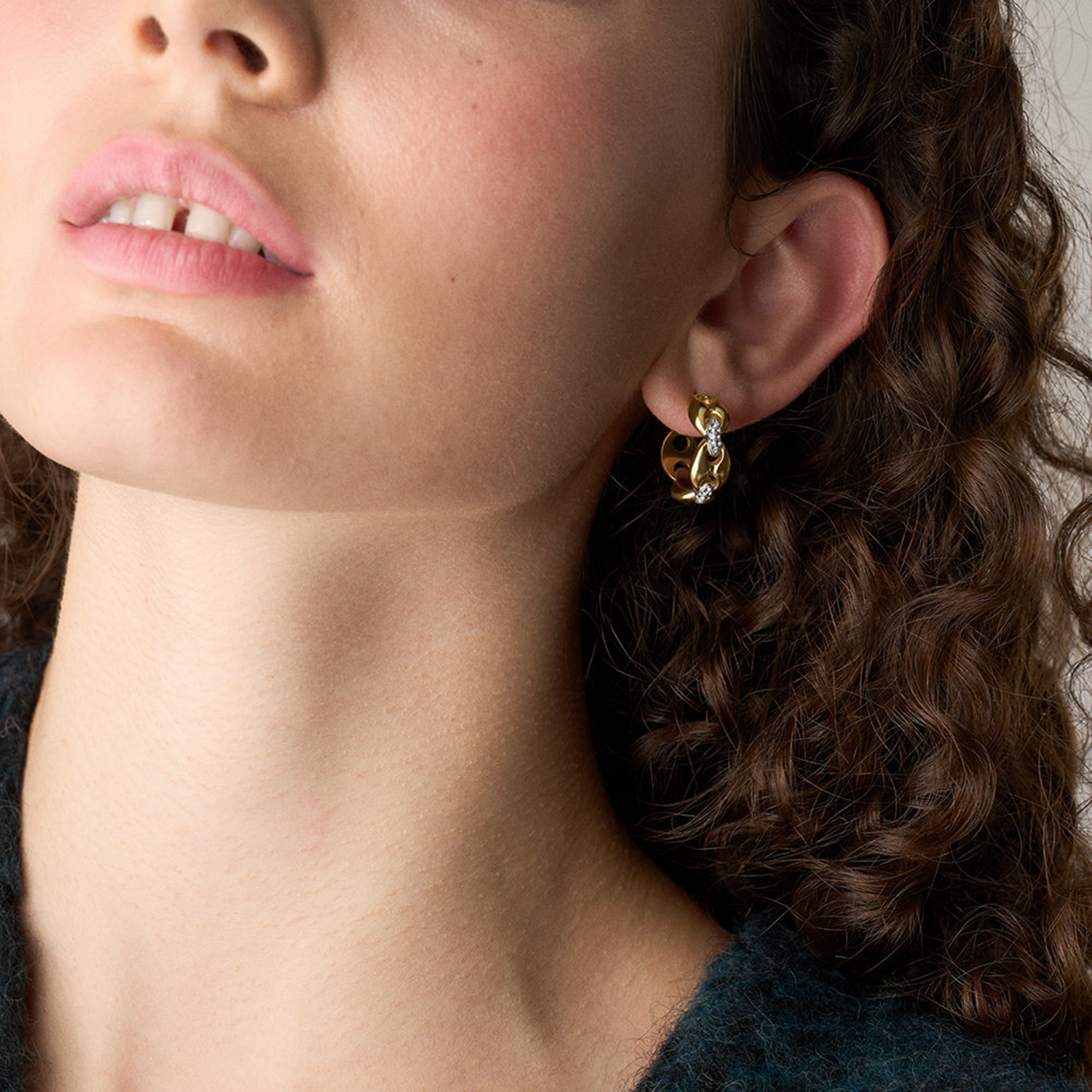 Fossil Heritage Stainless Steel Earrings JF04930998