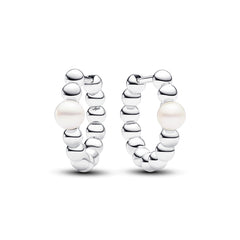Pandora Timeless 925 Sterling Silver Ear Studs 293178C01