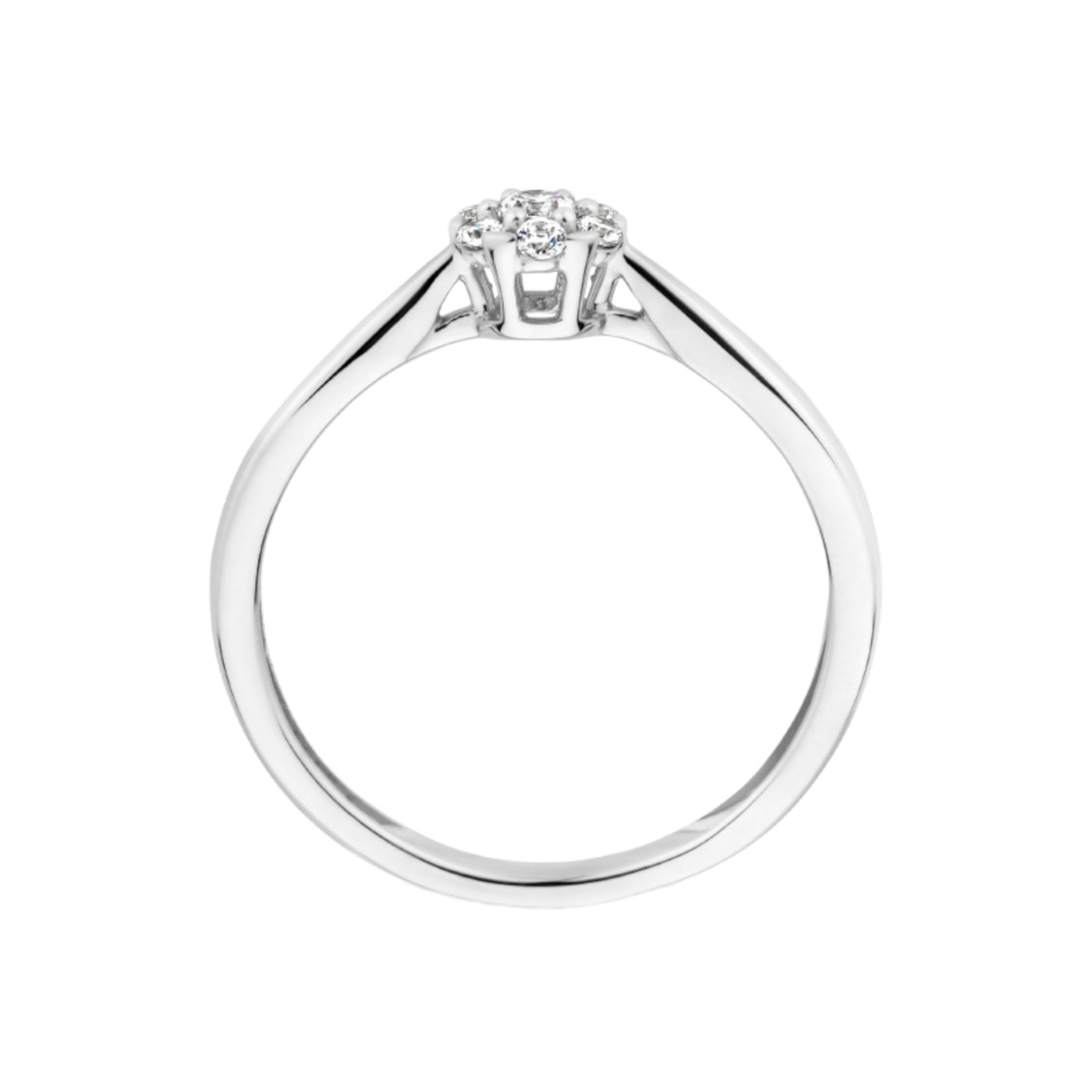 Blush 14 Carat Whitegold Ring 1248WZI/60